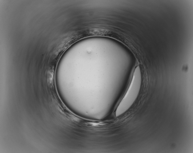 X0000108480371200904241306