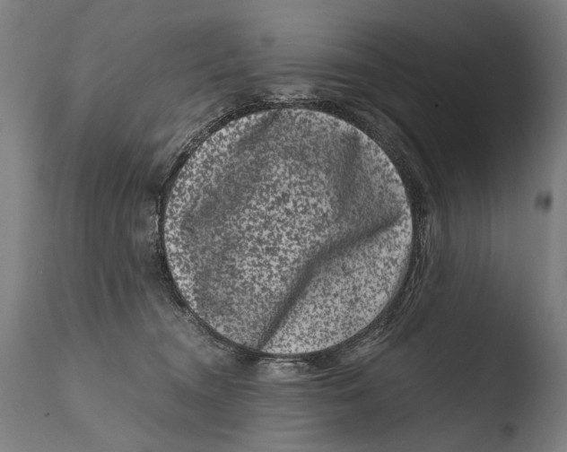 X0000108480372200904241306