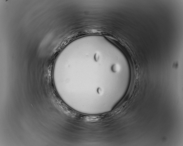 X0000108480373200904241306