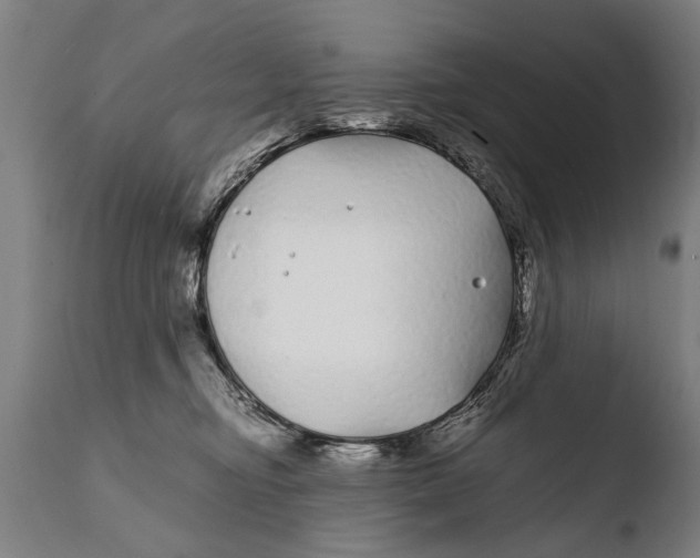 X0000108480374200904241306