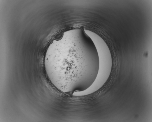 X0000108480375200904241306