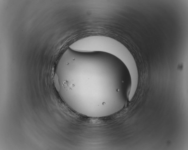 X0000108480376200904241306