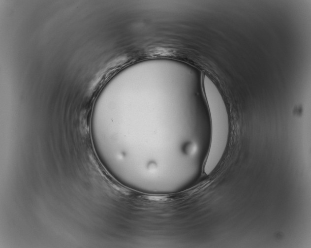 X0000108480377200904241306