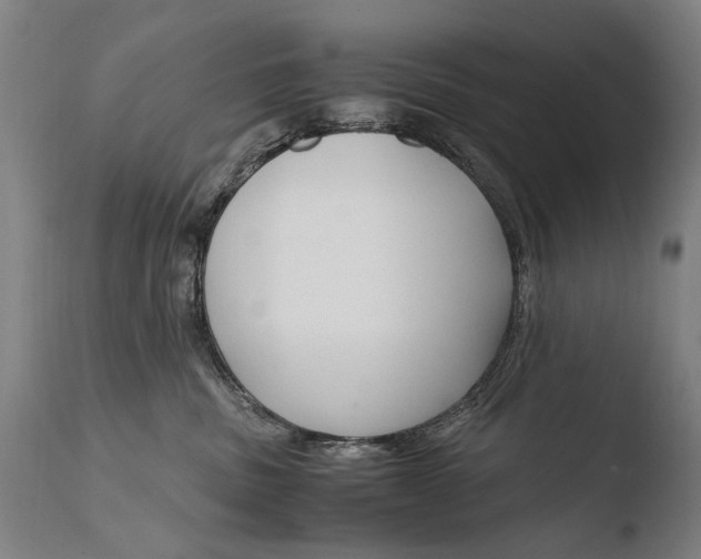 X0000108480379200904241306