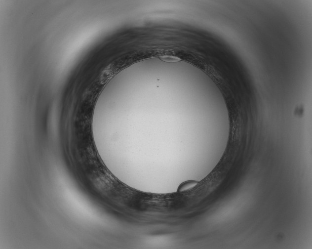X0000108480383200904241306