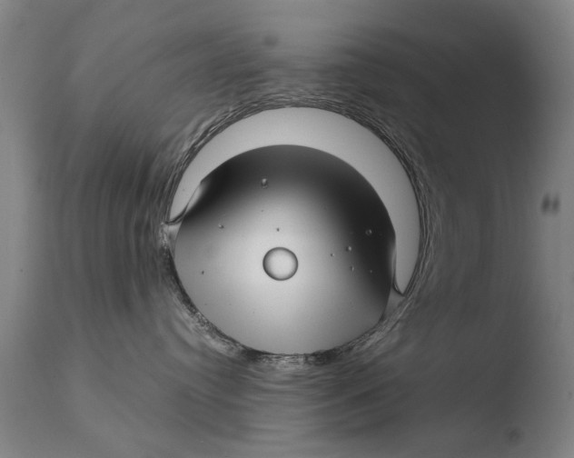 X0000108480384200904241306
