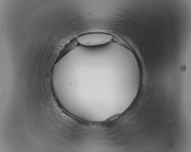 X0000108480385200904241306