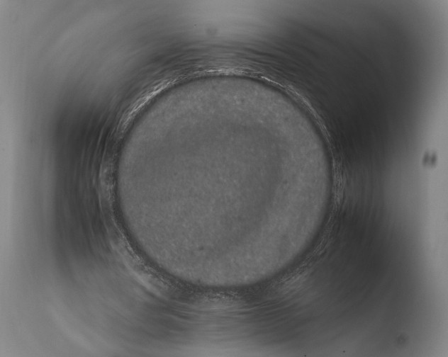 X0000108480386200904241306
