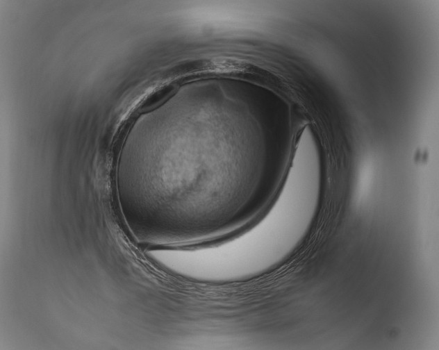X0000108480387200904241306