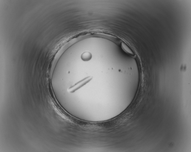 X0000108480389200904241305