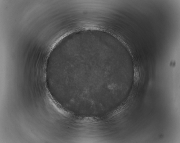 X0000108480390200904241305