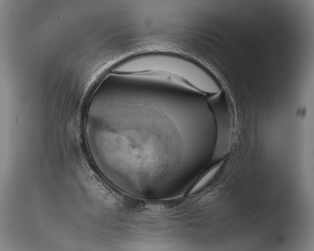 X0000108480391200904241305