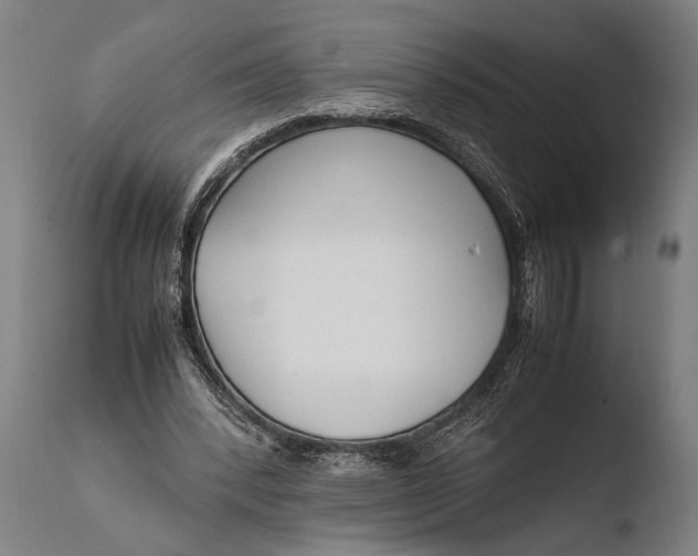 X0000108480392200904241305