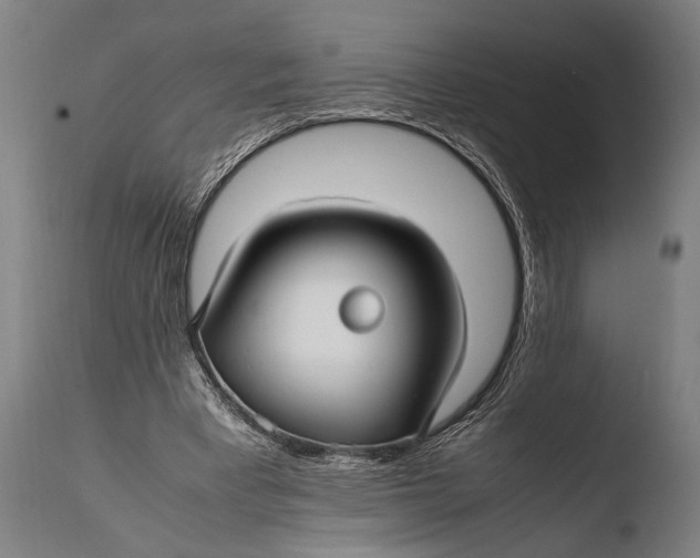 X0000108480393200904241305