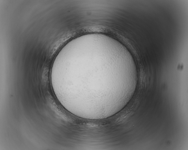 X0000108480394200904241305