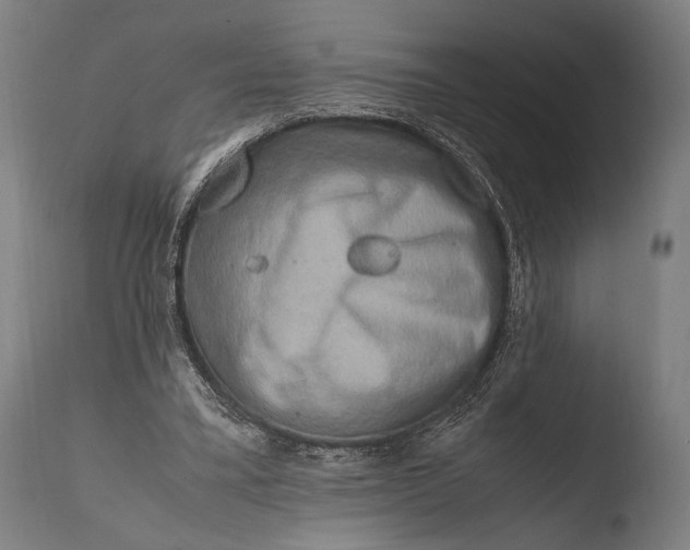 X0000108480395200904241305