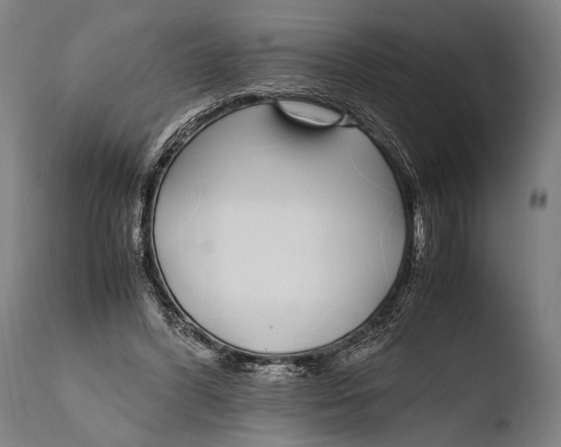 X0000108480396200904241305