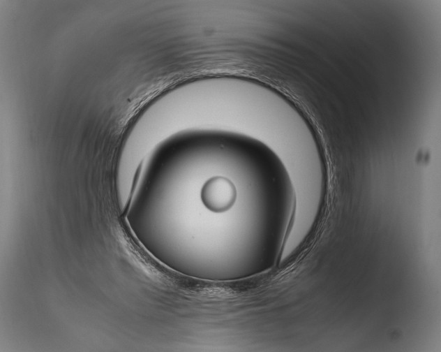 X0000108480397200904241305