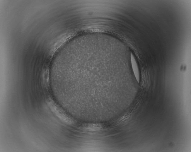 X0000108480398200904241305