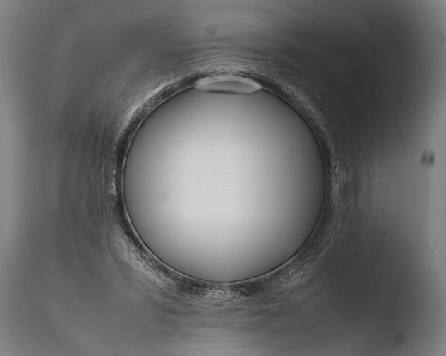 X0000108480399200904241305