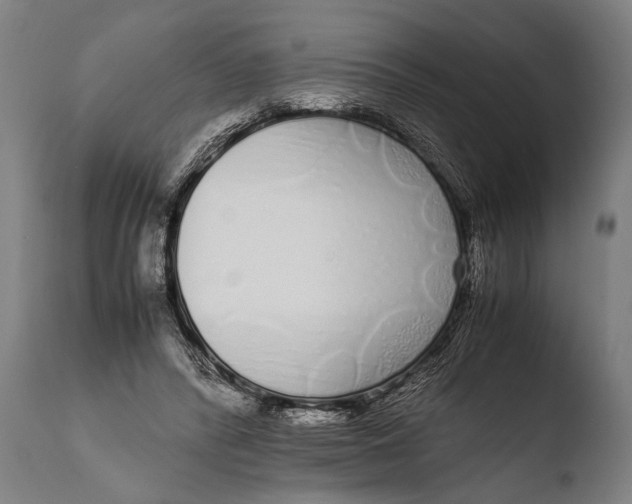 X0000108480400200904241305