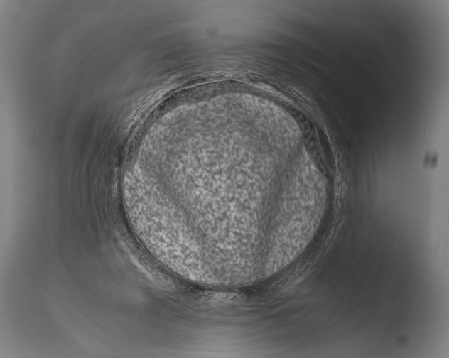 X0000108480401200904241305
