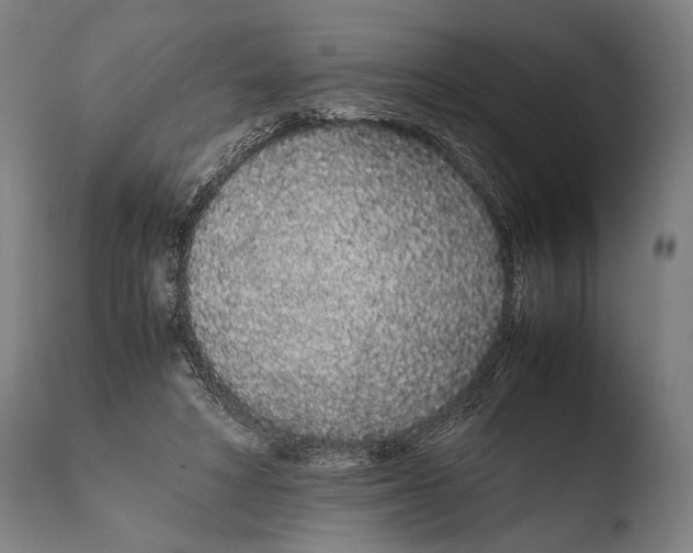 X0000108480402200904241305
