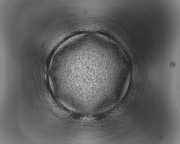 X0000108480403200904241305