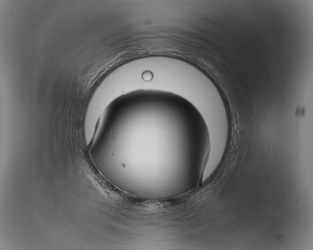X0000108480405200904241305