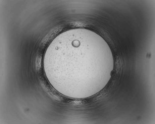X0000108480406200904241305