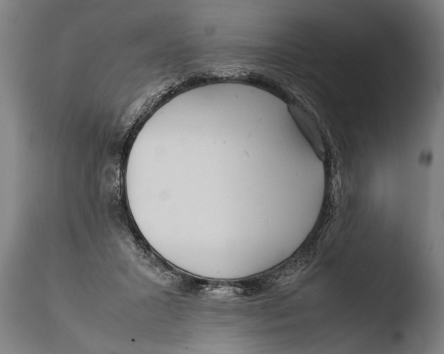 X0000108480407200904241305