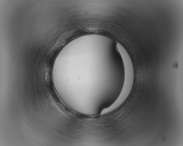X0000108480408200904241305