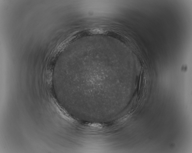 X0000108480409200904241305