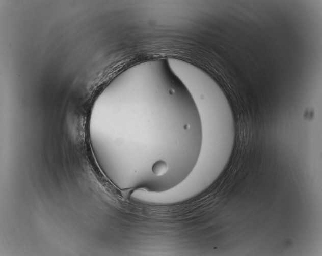 X0000108480410200904241305