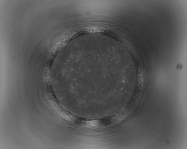 X0000108480411200904241305