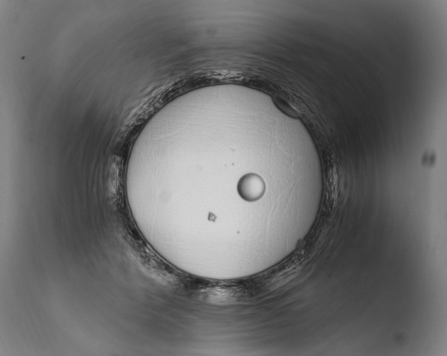 X0000108480412200904241305