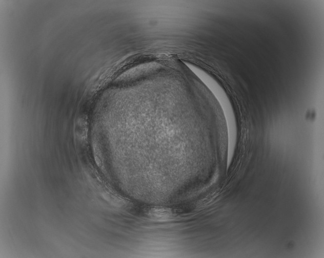 X0000108480413200904241305
