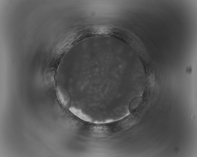 X0000108480415200904241305