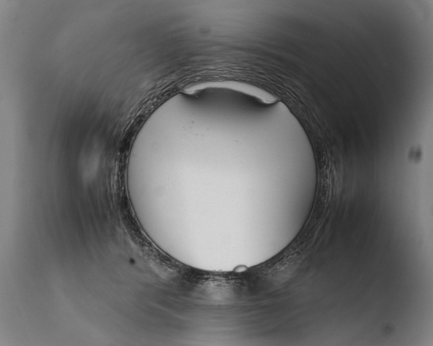 X0000108480416200904241305