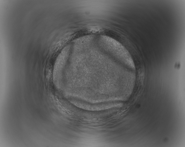 X0000108480417200904241305