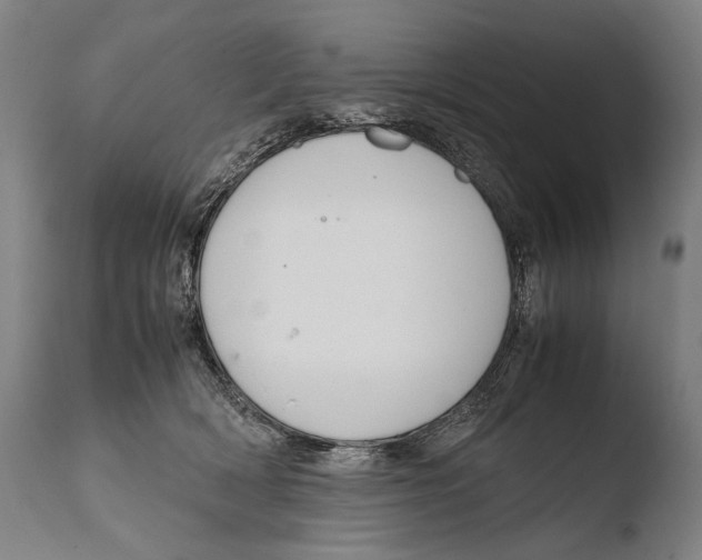X0000108480418200904241305