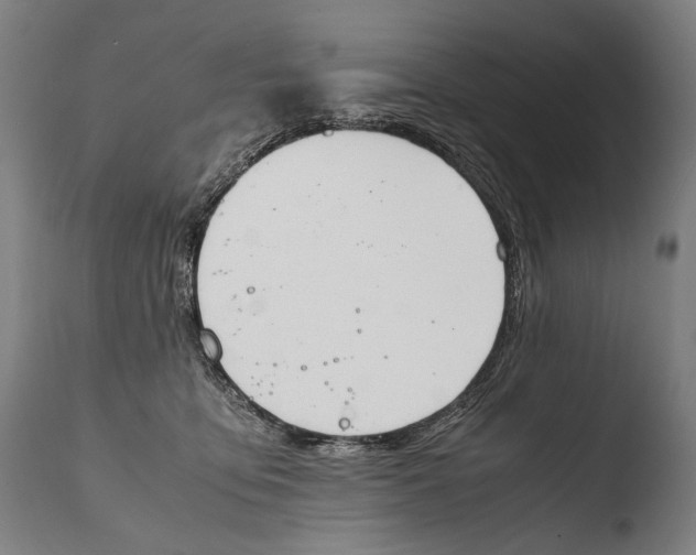 X0000108480419200904241305