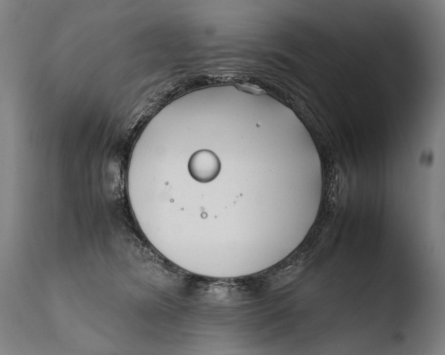 X0000108480420200904241305