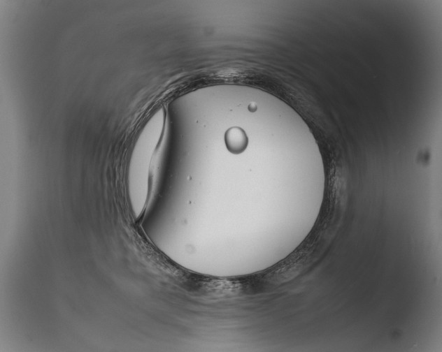 X0000108480421200904241305