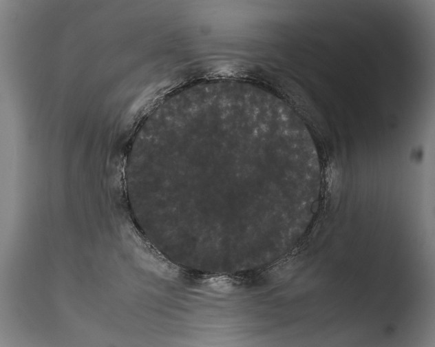 X0000108480423200904241305
