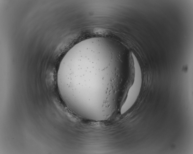 X0000108480424200904241305
