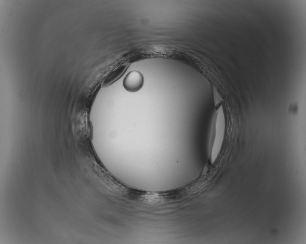 X0000108480425200904241305