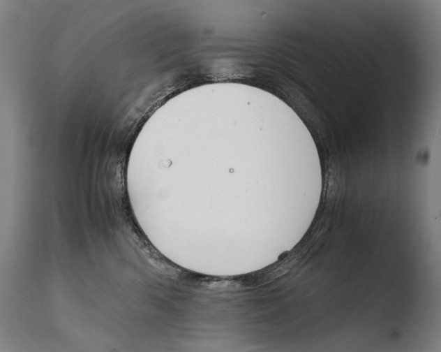 X0000108480426200904241305
