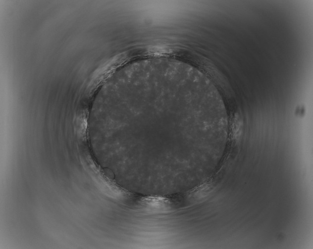 X0000108480427200904241305