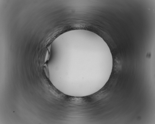 X0000108480428200904241305